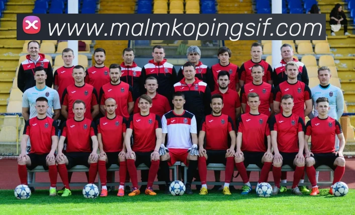 体育数据展示